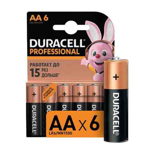 Батарейки Duracell Professional AA (6 шт)