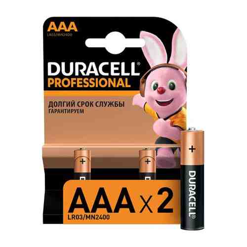 Батарейки Duracell Professional AAA (2 шт)