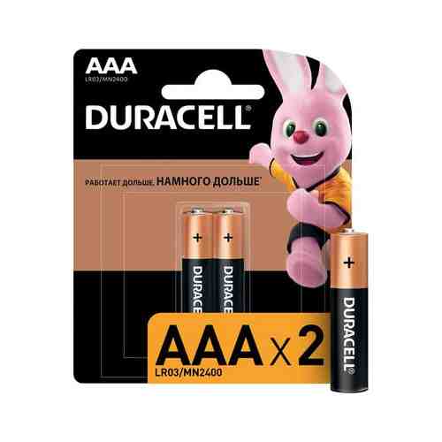 Батарейки Duracell CN AAA (2 шт.)