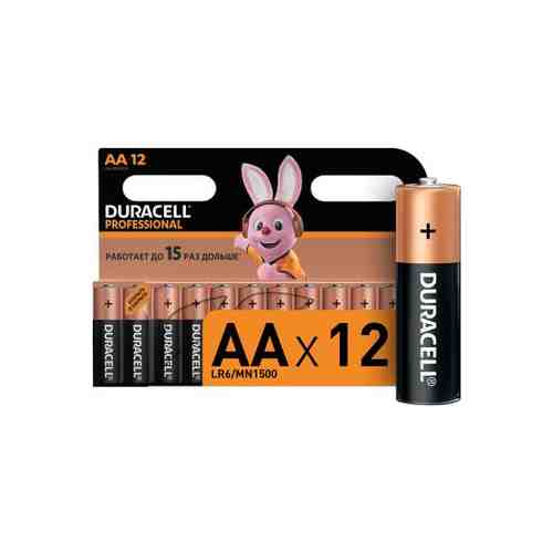 Батарейки Duracell Professional AA (12 шт)