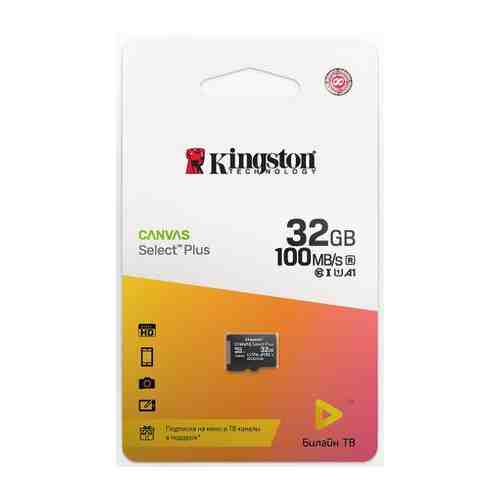 Карта памяти Kingston Canvas Select Plus microSDHC UHS-I Class 10 32GB + подписка билайн тв на 2 месяца