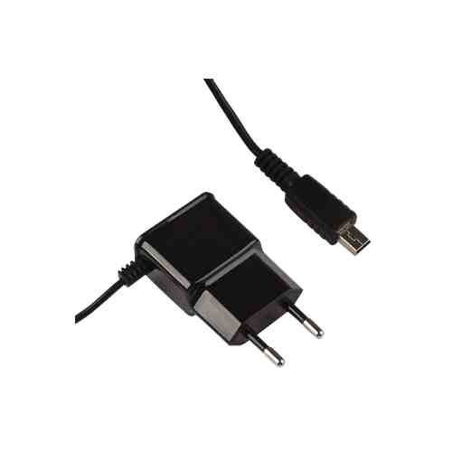Зарядное устройство Liberty Project mini-USB R0005124 Black